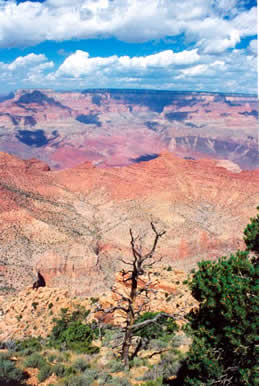 canyon