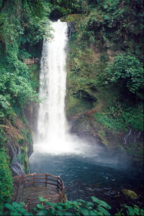 Fox Hollow Falls